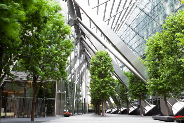 A modern glass atrium with tall, angular steel beams and lush green trees lining the walkway creates a blend of nature and contemporary architecture, reflecting ESG principles for sustainable spaces this October.