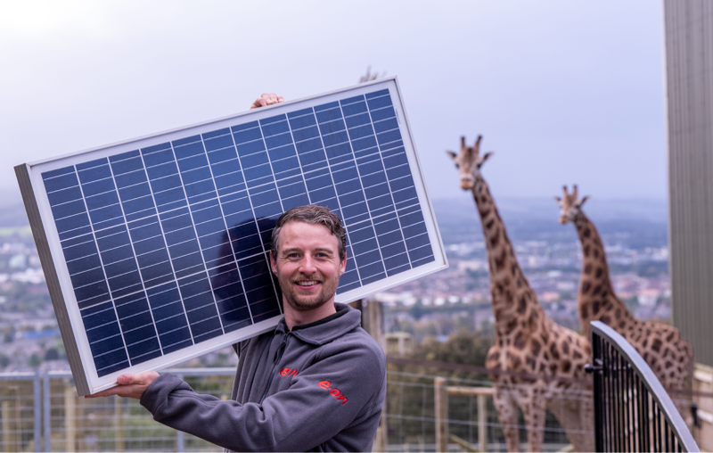 A smiling man in a gray jacket holds a solar panel on his shoulder, standing outdoors with two giraffes and a cityscape—capturing the spirit of A cultural round-up of whats got consumers and the Mischief team passionate each month. MHP Group summarise a month of Mischief for October 2023.