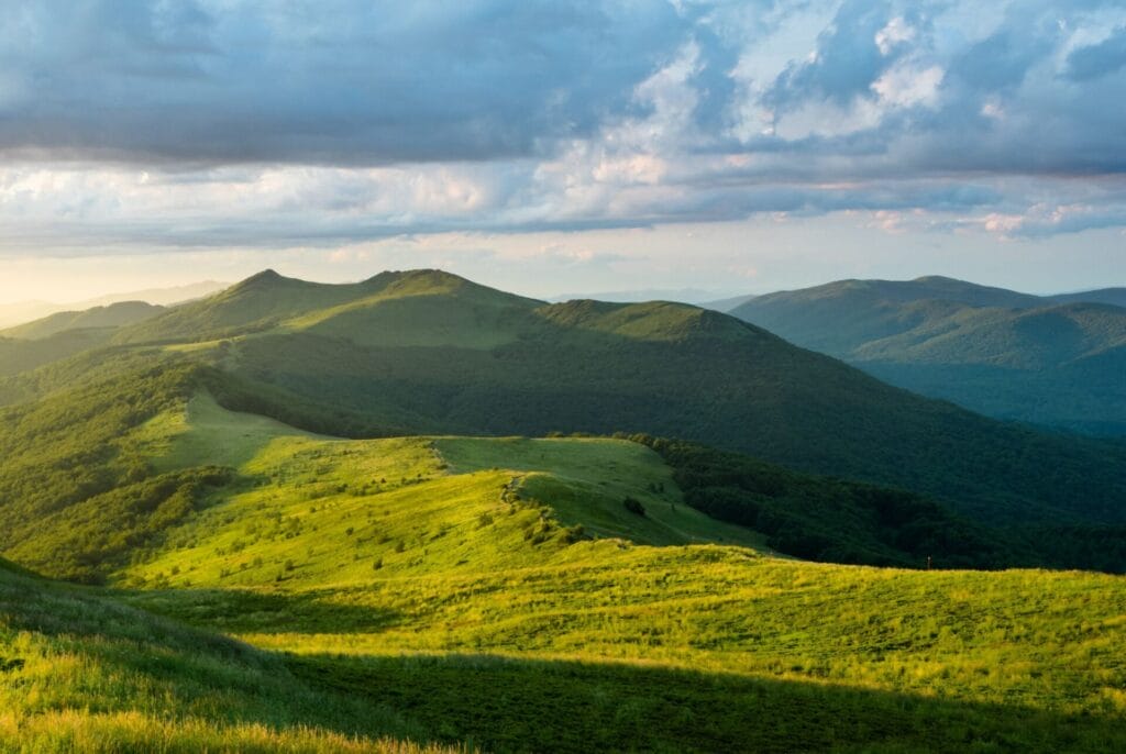 MHP Group discuss building trust in carbon markets.